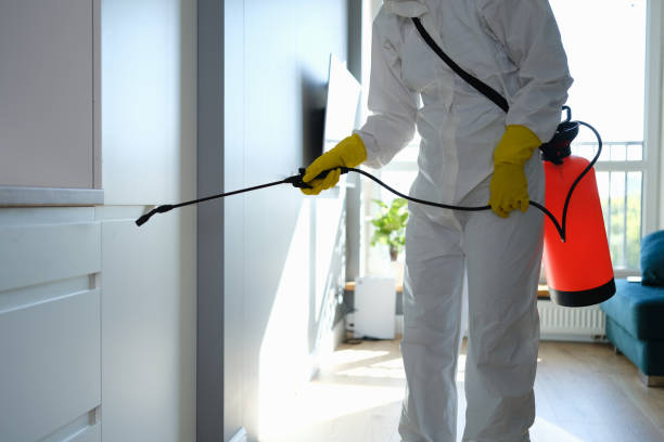 Best Office Mold Removal Services  in Whitley City, KY